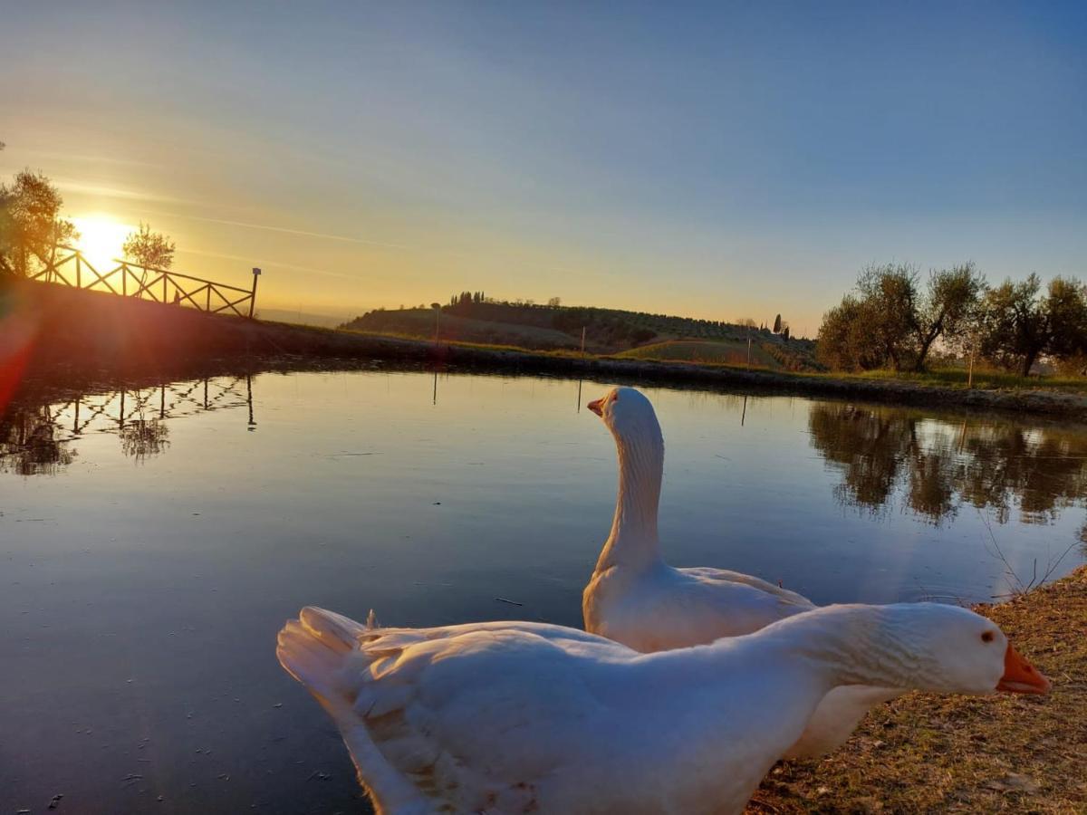 Agriturismo Mocine Ашано Екстериор снимка