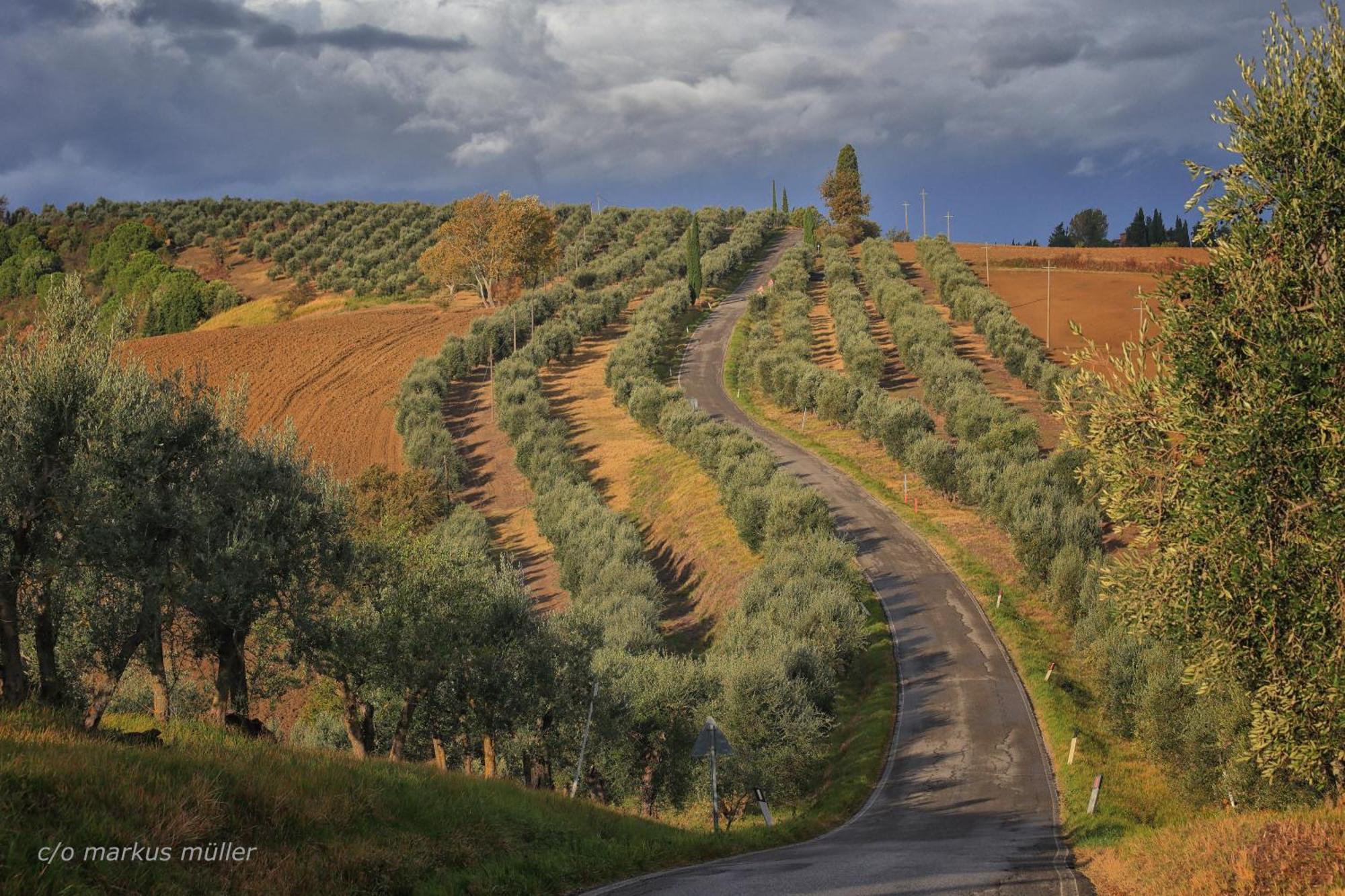 Agriturismo Mocine Ашано Екстериор снимка