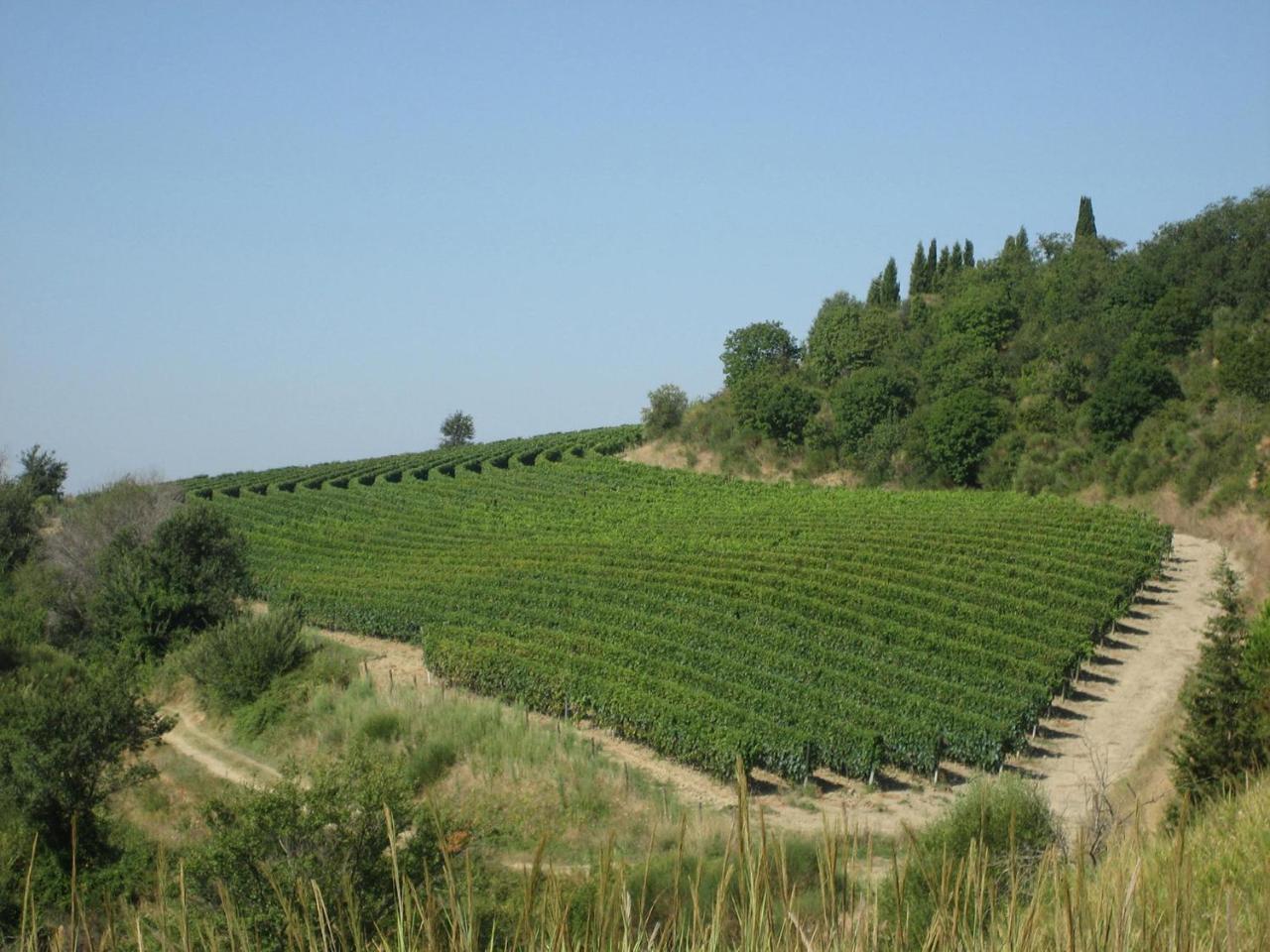 Agriturismo Mocine Ашано Екстериор снимка