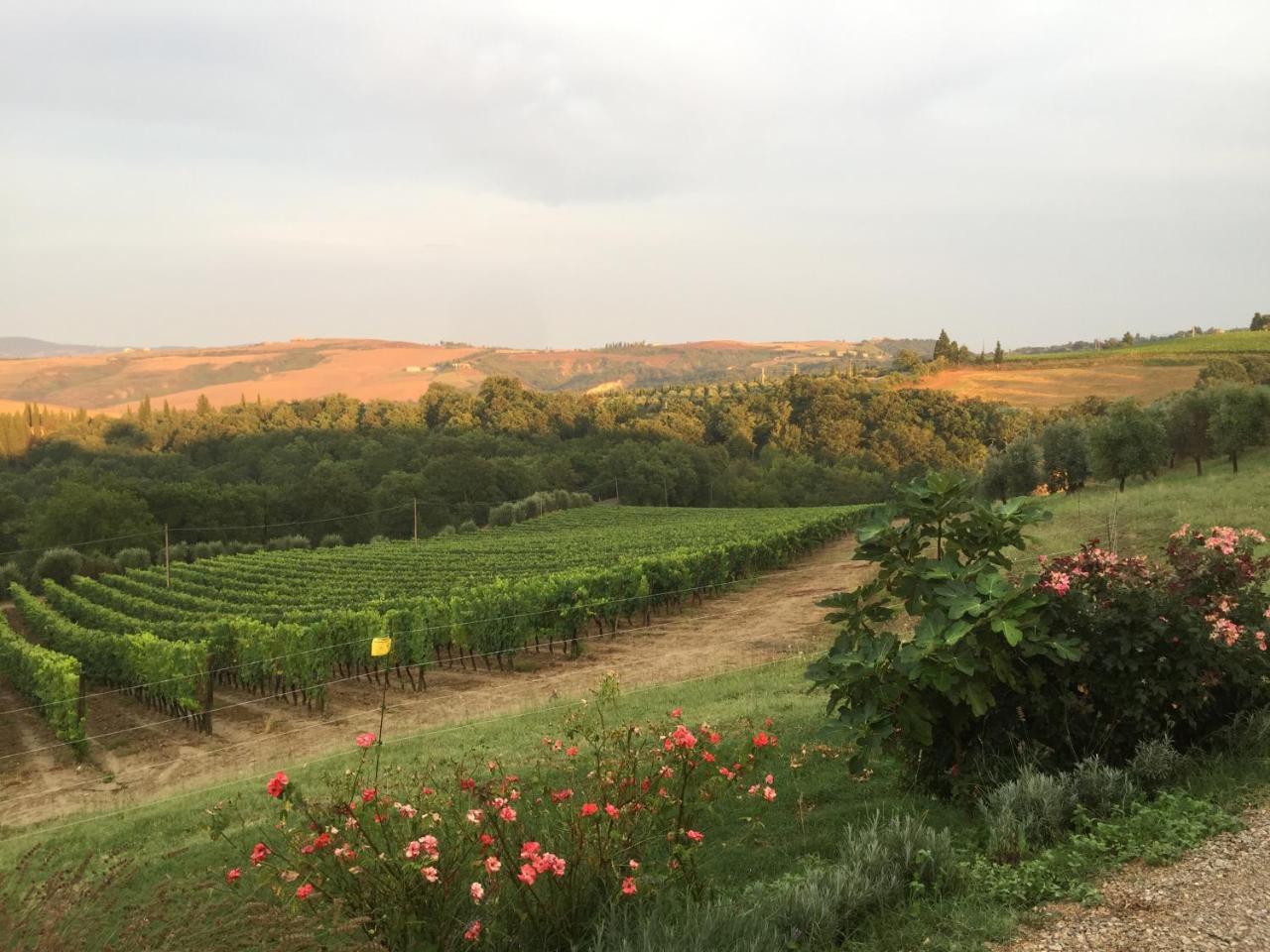 Agriturismo Mocine Ашано Екстериор снимка